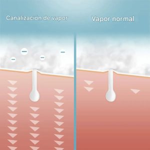 Vaporizador Facial Térmico Profesional | Limpieza Profunda De Poros, Acné Y Puntos Negros | Everest Función Aromaterapia Y Descongestivo | Apagado Automático | Piel Joven Y Sana: imagen 3